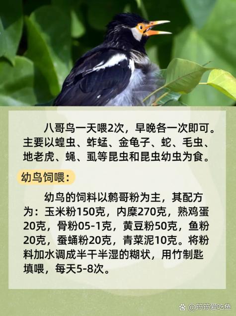免费视频app免费的相关介绍