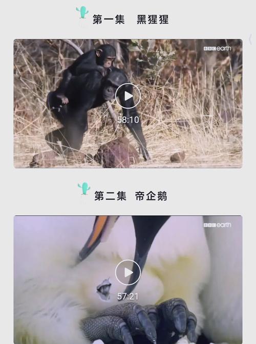 一边揉一边捏的相关介绍
