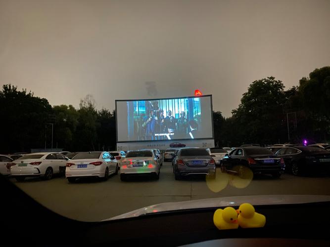 成年人午夜毛片的相关介绍