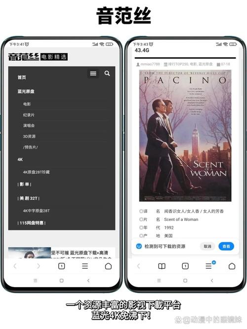美女免费18的相关介绍