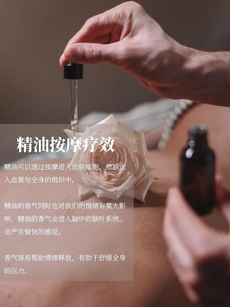 yy6090青苹果影院的相关介绍