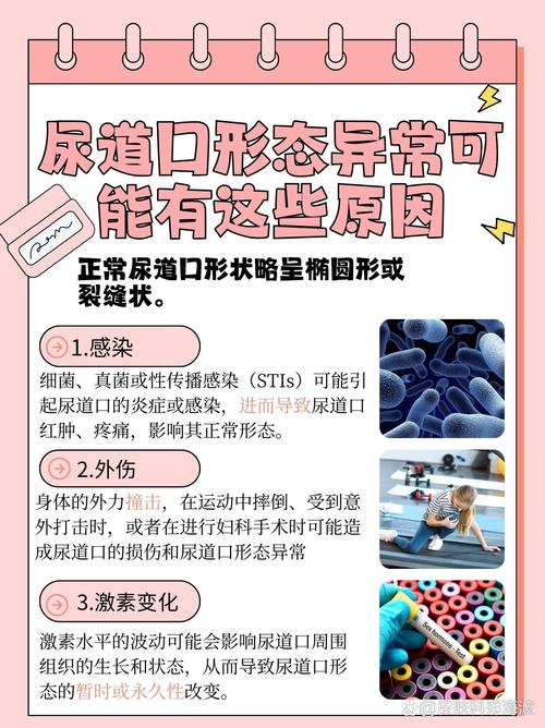 4480首播影院的相关介绍