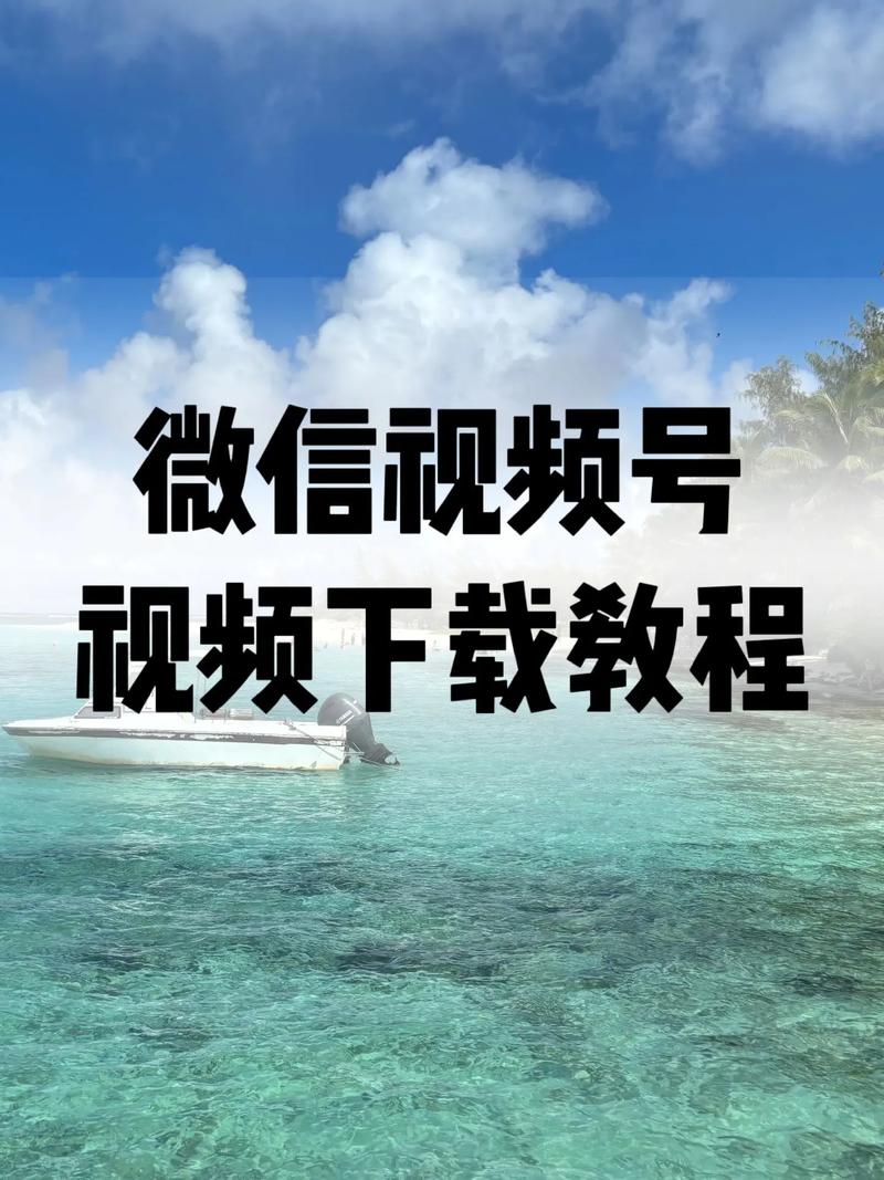 口袋影院的相关介绍