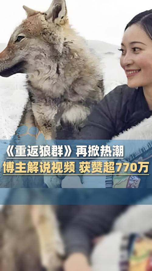 双十影院的相关介绍