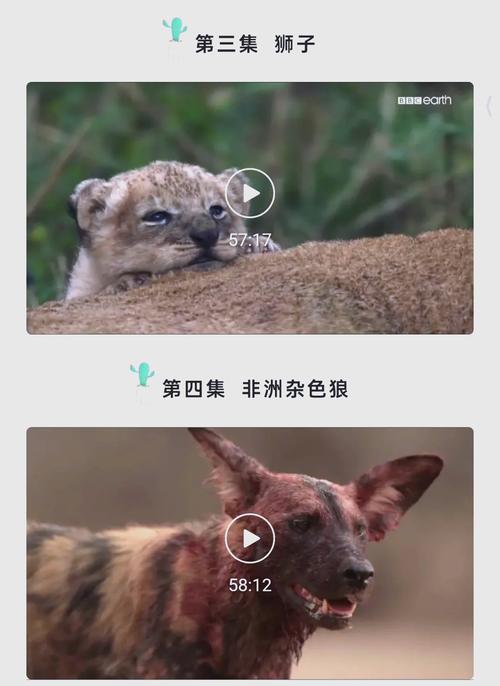 美女后入狂操的相关介绍
