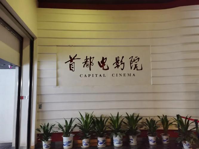 新世界影院在线手机观看免费的相关介绍