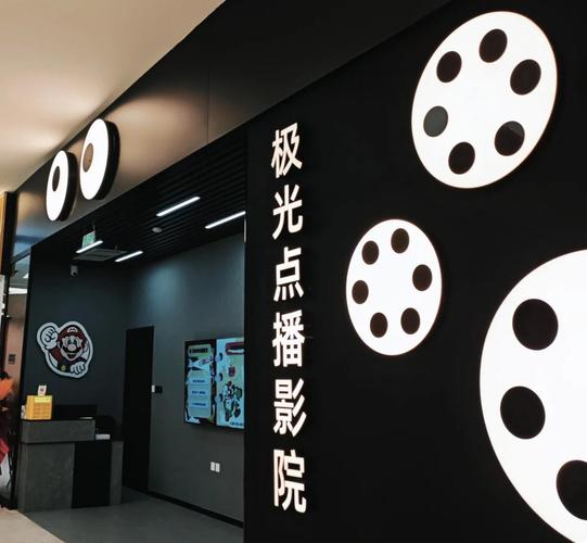嘉信电影院的相关介绍