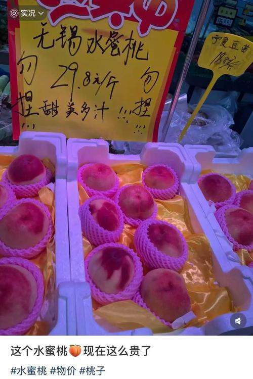 iidvd影院的相关介绍