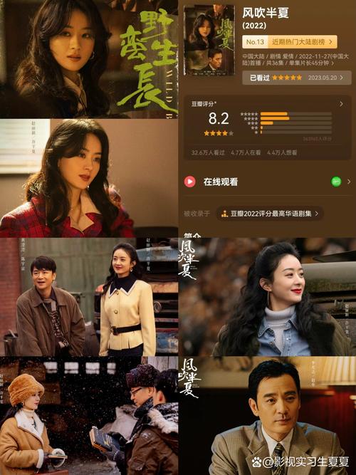 人妻啪啪网的相关介绍