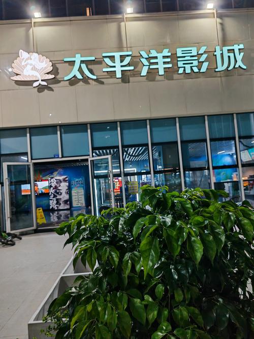 四虎影院在线视频在线看的相关介绍