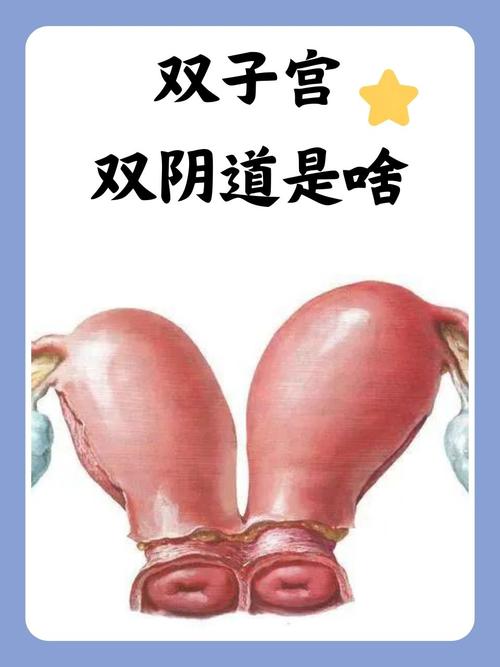 高清乱码毛片在线的相关介绍
