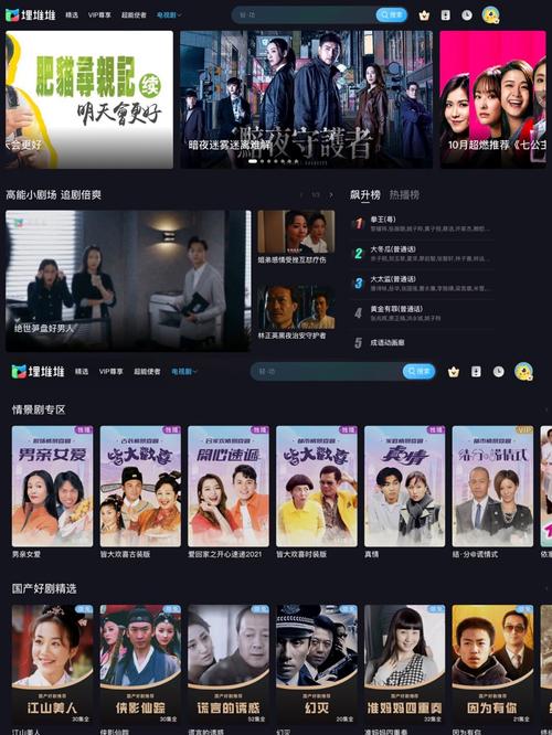 世纪影院的相关介绍