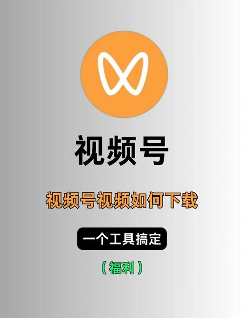 精品之久久久的相关介绍