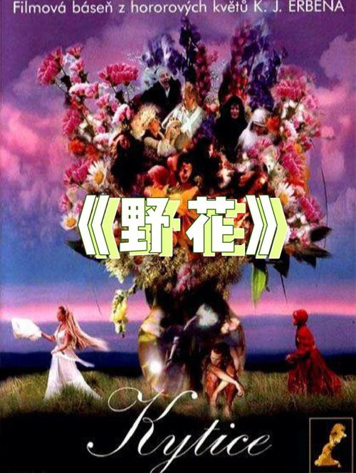 爽爽影院线观看免费的相关介绍