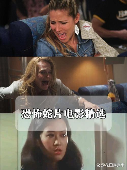 97影院的相关介绍