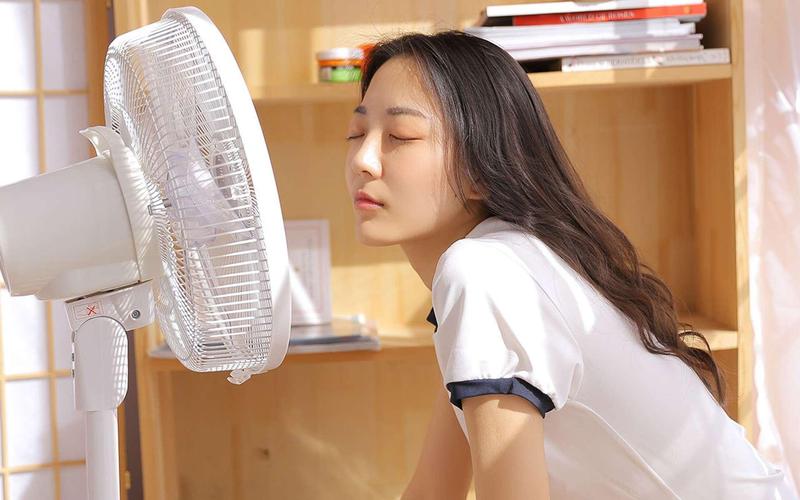 人妻少妇自拍网的相关介绍