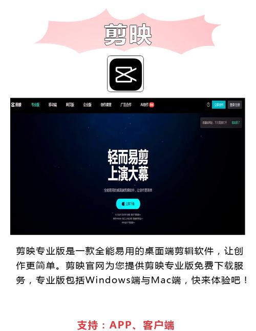 星光电影院的相关介绍