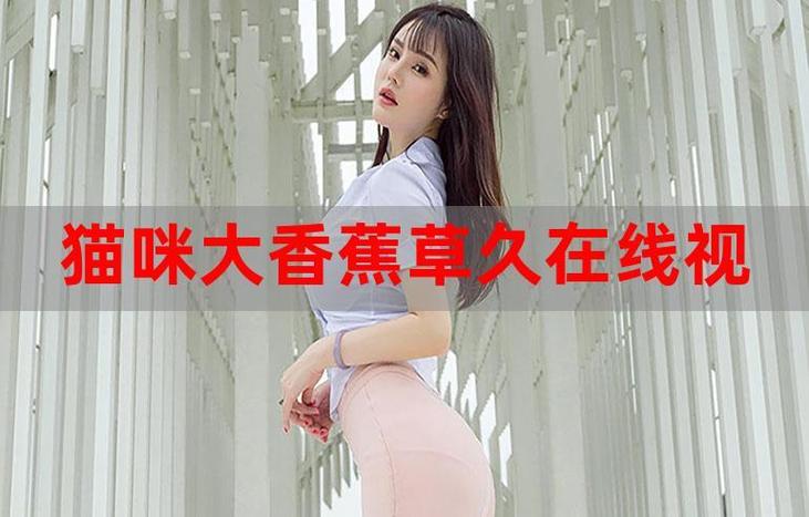 成人影院的相关介绍