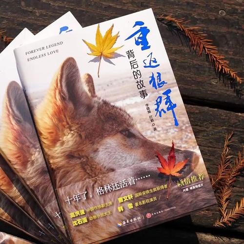 亚洲少妇二区三区的相关介绍
