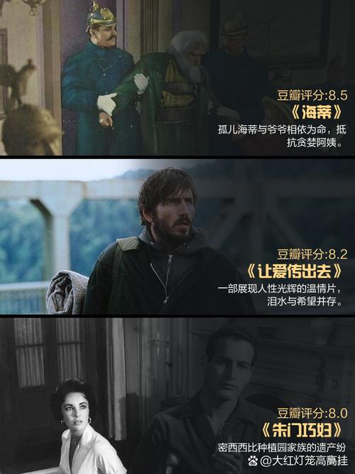 八戒八戒神马影院在线的相关介绍