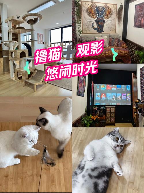 男女激情大尺度做爰视频在线观看的相关介绍