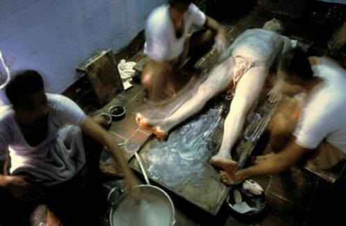 八凄子影院伦理片的相关介绍