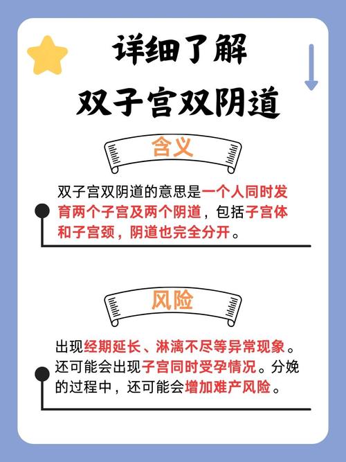丰满少妇av一区二区三区的相关介绍