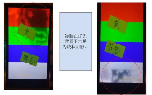 国模大尺度露鲍图片的相关介绍