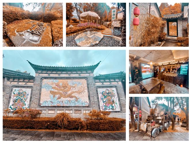 艾草仙姑在线视频免费影院的相关介绍