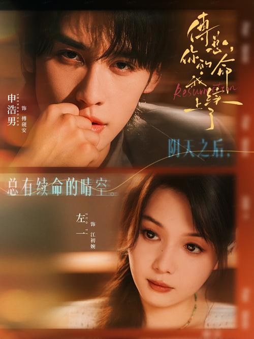 美女av一级免费在线观看的相关介绍