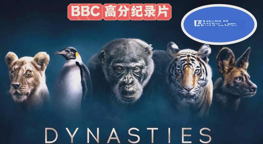 老光棍电影影院yy在线播放的相关介绍
