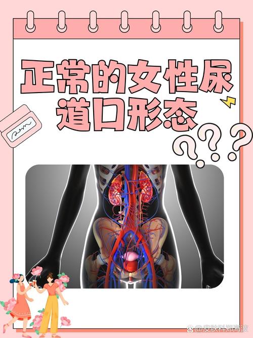 亚洲男人天堂区的相关介绍