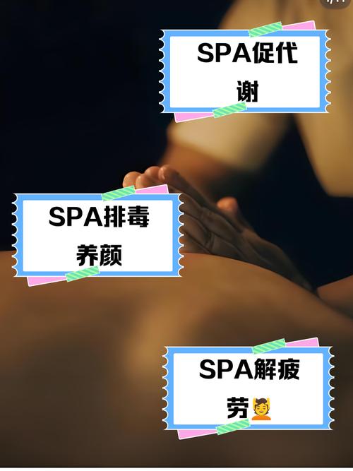 影音先锋成人无码影院的相关介绍