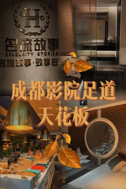 泰安电影院的相关介绍