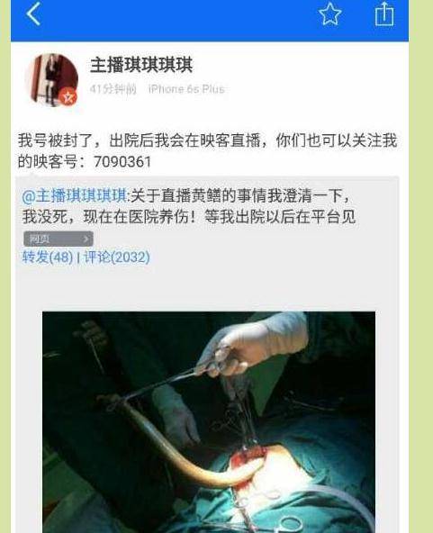 大哥影院的相关介绍