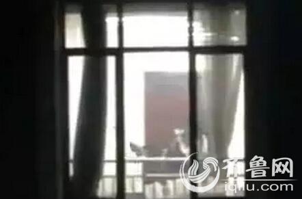 男人操出白浆的相关介绍