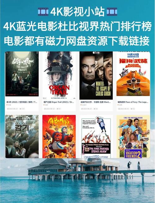 夜狼影院的相关介绍