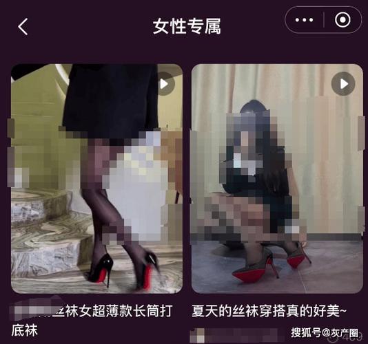 色视频app免费下载的相关介绍